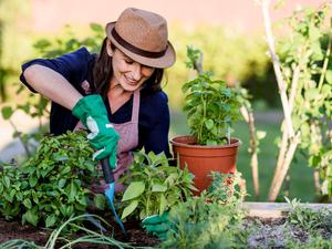Frau bei Gartenarbeit am Hochbeet.