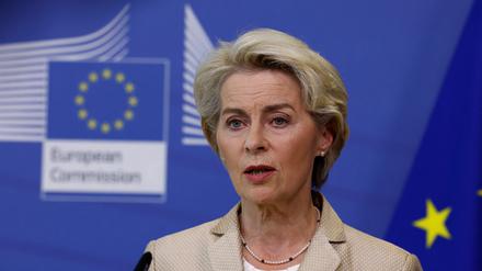 European Commission President Ursula von der Leyen addresses the media on the Ukraine crisis, in Brussels, Belgium, September 28, 2022. REUTERS/Yves Herman