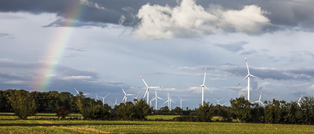 Die Produzenten von Erneuerbaren Energien profitieren von hohen Gaspreisen - das soll sich ändern. 