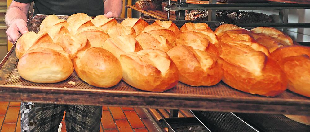 Die Bäcker Bäcker haben mit den hohen Energiepreisen zu kaempfen kämpfen. Frisch gebacken Broetchen Brötchen auf einem Blech Symbolbild, Baeckereien Bäckereien, Energiepreise am 16.09.2022 in Siegen/Deutschland. *** The bakers bakers have to struggle with the high energy prices freshly baked bread rolls on a tray icon image, bakeries bakeries , energy prices on 16 09 2022 in Siegen Germany