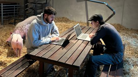 Die „P7-Gallery“ an der Prenzlauer Allee beherbergt sechs Hühner, zwei Schweine, eine Ziege – und einen Coworking-Space.