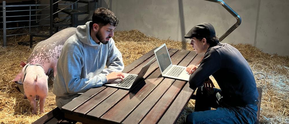 Die „P7-Gallery“ an der Prenzlauer Allee beherbergt sechs Hühner, zwei Schweine, eine Ziege – und einen Coworking-Space.