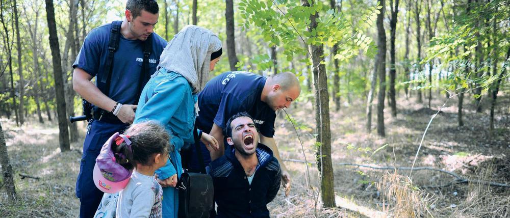 Festnahme von Migranten an der ungarisch-serbischen Grenze (Archivbild von 2015)