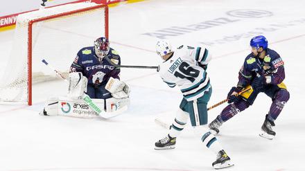 Die Eisbären schlugen sich trotz der Niederlage wacker.