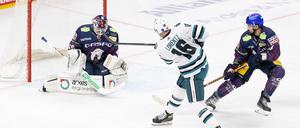 Die Eisbären schlugen sich trotz der Niederlage wacker.