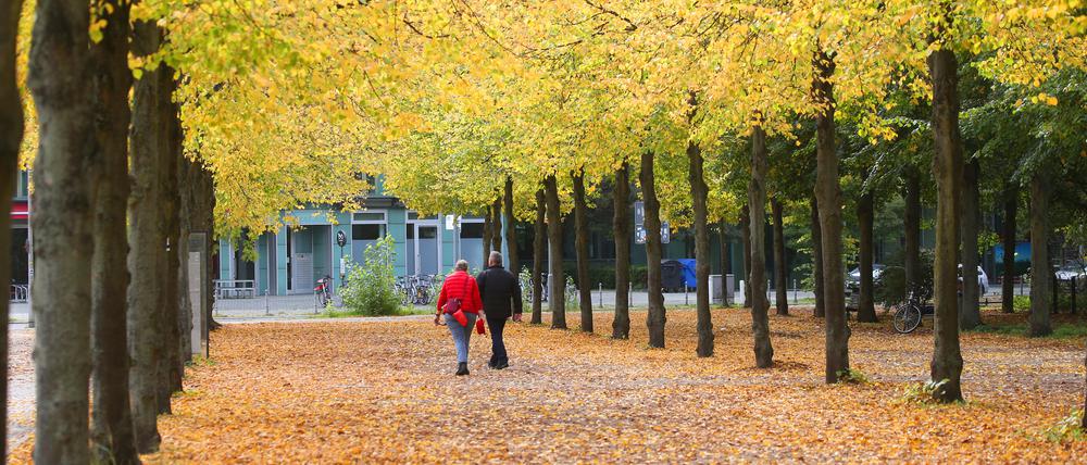 Bei Temperaturen um 17 Grad Celsius spazieren Menschen durch den Tiergarten an Bäumen mit gefärbten Laub vorbei. 