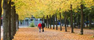 Bei Temperaturen um 17 Grad Celsius spazieren Menschen durch den Tiergarten an Bäumen mit gefärbten Laub vorbei. 