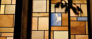 Ein beschädigtes Bleiglasfenster ist von der Außenseite der Synagoge aus zu sehen. A