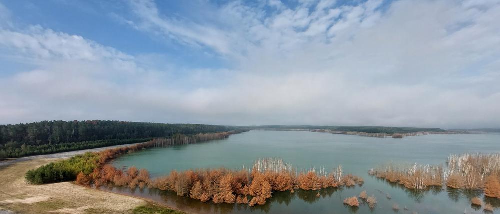 Wild, weit, wetterfest. Die Lausitzer Seen sind einen Ausflug wert.