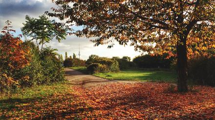 Herbstimmung in einem Berliner Park