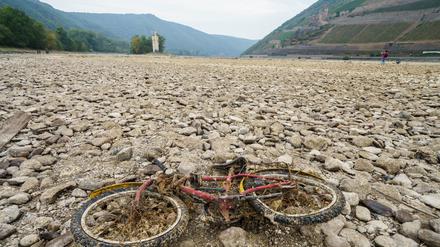 Ein mit vertrockneten Muscheln und Algen bedecktes Kinderfahrrad liegt im August 2022 auf dem Gestein des weitgehend ausgetrockneten Flussbetts des Rheins. 