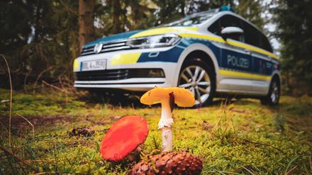 Die Polizei gibt Tipps bei der Pilzsuche.