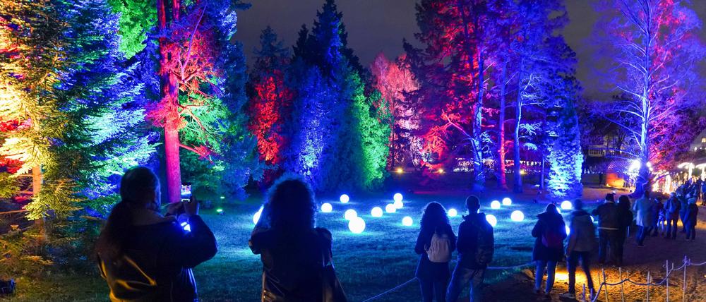 Christmas Garden, 2021