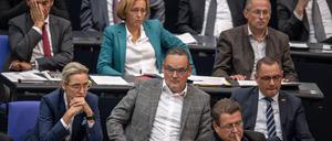 Die Mitglieder der AfD Fraktion im Bundestag.
