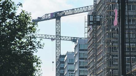 Baukräne ragen in Berlin in den Himmel.
