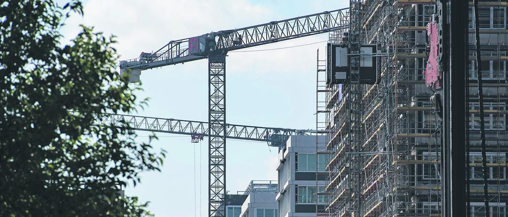 Baukräne ragen in Berlin in den Himmel.