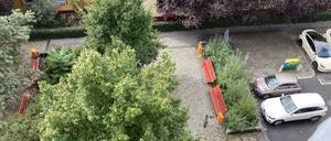 Ein Blick aus dem Balkon: Hier geht es nachts richtig hoch her.