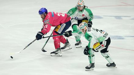 Auch Doppeltorschütze Giovanni Fiore (in Pink) hatte es schwer gegen die Bietigheim Steelers.