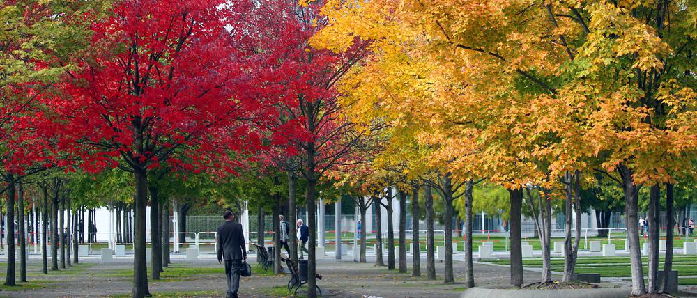 04.10.2022, Berlin: Bei Temperaturen um 17 Grad Celsius spazieren Menschen durch das Regierungsviertel an Bäumen mit gefärbten Laub vorbei. Nach Angaben der Meteorologen werden in den kommenden Tagen die Temperaturen leicht ansteigen. Foto: Wolfgang Kumm/dpa +++ dpa-Bildfunk +++