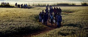 Syrische Flüchtlinge auf der sogenannten Balkanroute, die für einige Migranten mittlerweile auch in Brandenburg endet. 