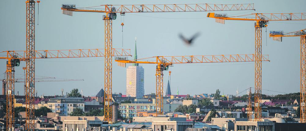 Kräne stehen durch die Berliner Skyline über dem Bezirk Mitte. +++ dpa-Bildfunk +++