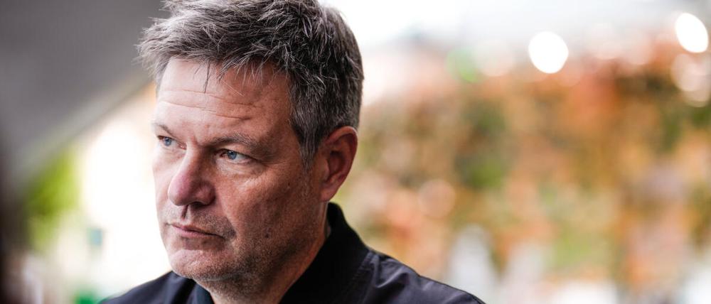 Robert Habeck auf dem Bundesparteitag der Grünen.