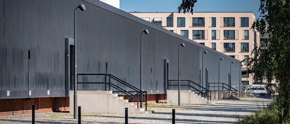 Die Rieckhallen am Hamburger Bahnhof haben auch historischen Wert. Sie sind Teil des „Denkmal-Ensembles“ Hamburger Bahnhof. Seit 2002 werden sie für Kunst genutzt.