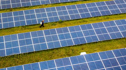 Die EU hat so viel Strom aus erneuerbaren Energiequellen produziert wie noch  nie.