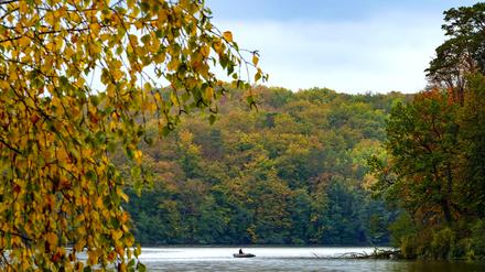 Grün-rot-goldene Pracht am Großen Treppelsee im Naturpark Schlaubetal