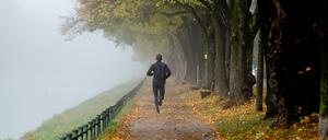 Die bunten Blätter sind wunderschön anzusehen, das Verletzungsrisiko ist im Herbst aber besonders hoch.