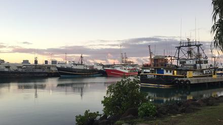 Langleinen-Fischerboote warten im Hafen von Honolulu auf das Auslaufen.