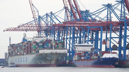 Containerschiffe werden am Container Terminal Tollerort im Hamburger Hafen abgefertigt.