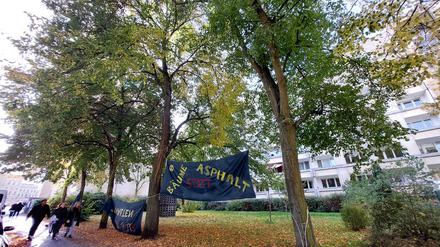 Linden vor dem Staudenhof-Gebäude. 