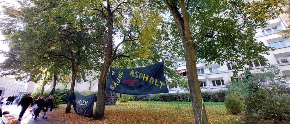 Linden vor dem Staudenhof-Gebäude.
