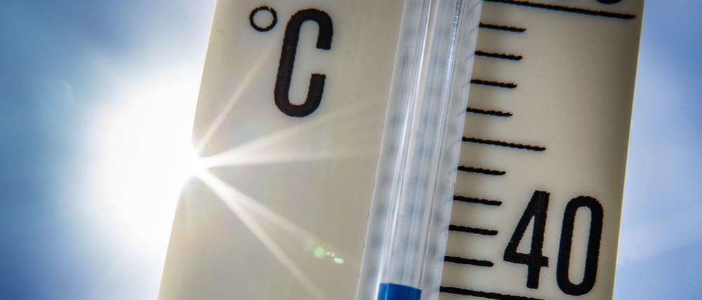 Ein Außenthermometer zeigt vor dem blauen Himmel und der Sonne eine Temperatur von nahezu 40 Grad Celsius an.