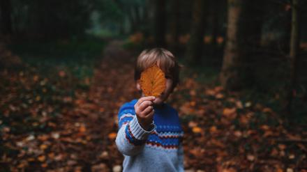 Bis zum 5. November sind in Berlin Herbstferien.