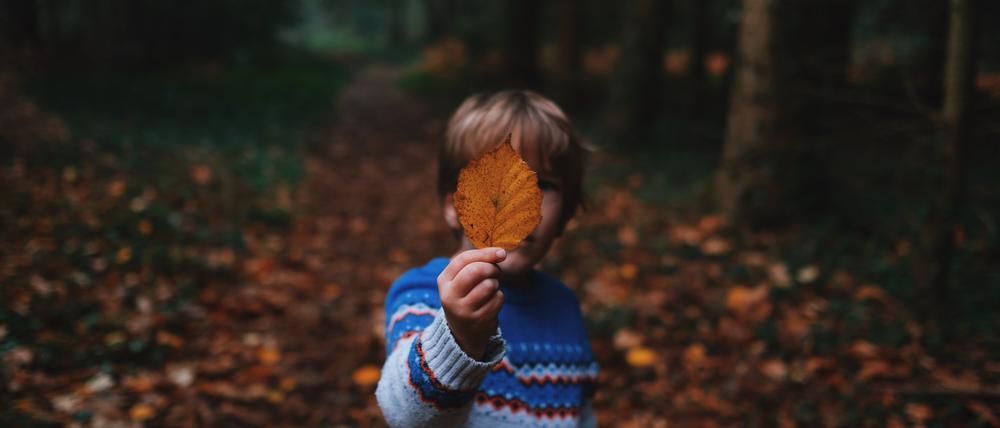 Bis zum 5. November sind in Berlin Herbstferien.