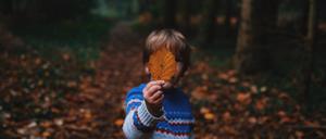 Bis zum 5. November sind in Berlin Herbstferien.