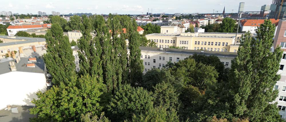Ein Blick von einem benachbarten Wohngebäude auf das Baugrundstück mit 25 Bäumen, die für den Neubau weichen sollen. 