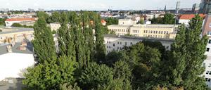 Ein Blick von einem benachbarten Wohngebäude auf das Baugrundstück mit 25 Bäumen, die für den Neubau weichen sollen. 