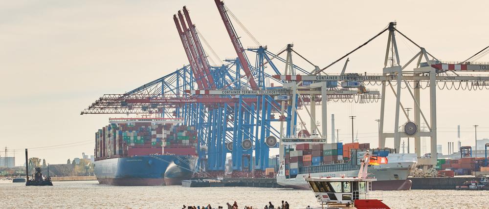 Ein Passagierschiff fährt an den Kränen und Containerschiffen im Hamburger Hafen am HHLA-Terminal Tollerort vorbei.