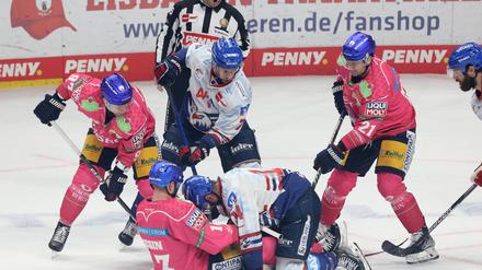 Wo ist der Puck. Eisbären (in pink) und Adler spielen verstecken.