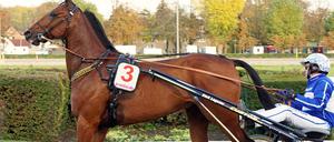 Jorma Kontio und Hidalgo Heldia auf der Trabrennbahn in Mariendorf.                         