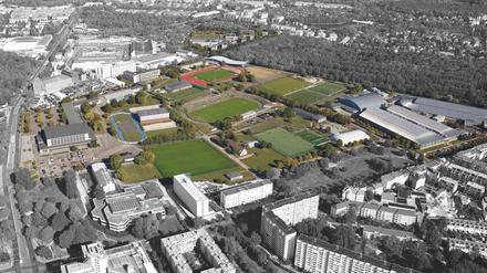 Hier soll nachverdichtet werden: ein Innenhof in der Ilsestraße.