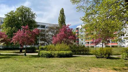 In der Ilsestraße soll nachverdichtet werden. 
