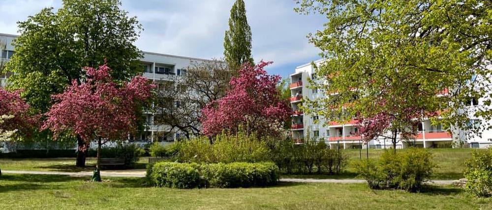 In der Ilsestraße soll nachverdichtet werden. 