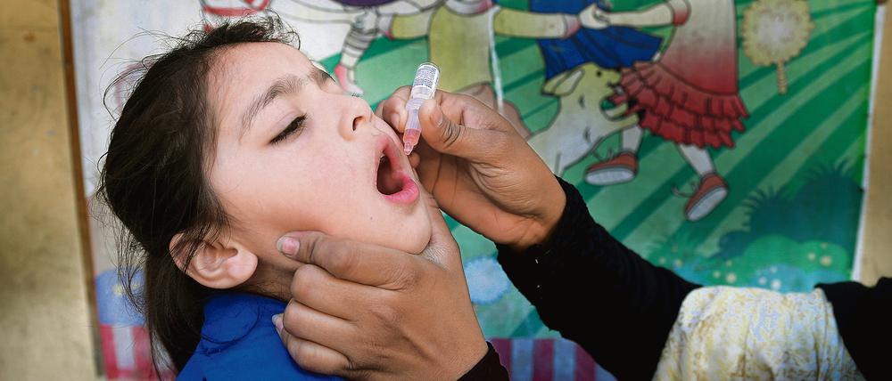 Schluckimpfung gegen Kinderlähmung. In Pakistan zirkuliert immer noch ein Polio-Wildtyp.