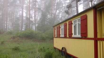 In einem Zirkuswagen zu zweit im Wald