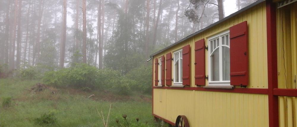 In einem Zirkuswagen zu zweit im Wald