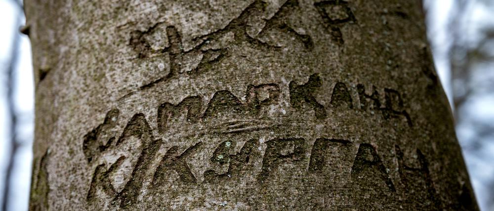 Kyrillische Ritzereien finden sind nicht nur in Biesdorf, sondern wie hier auch im Berliner Umland.